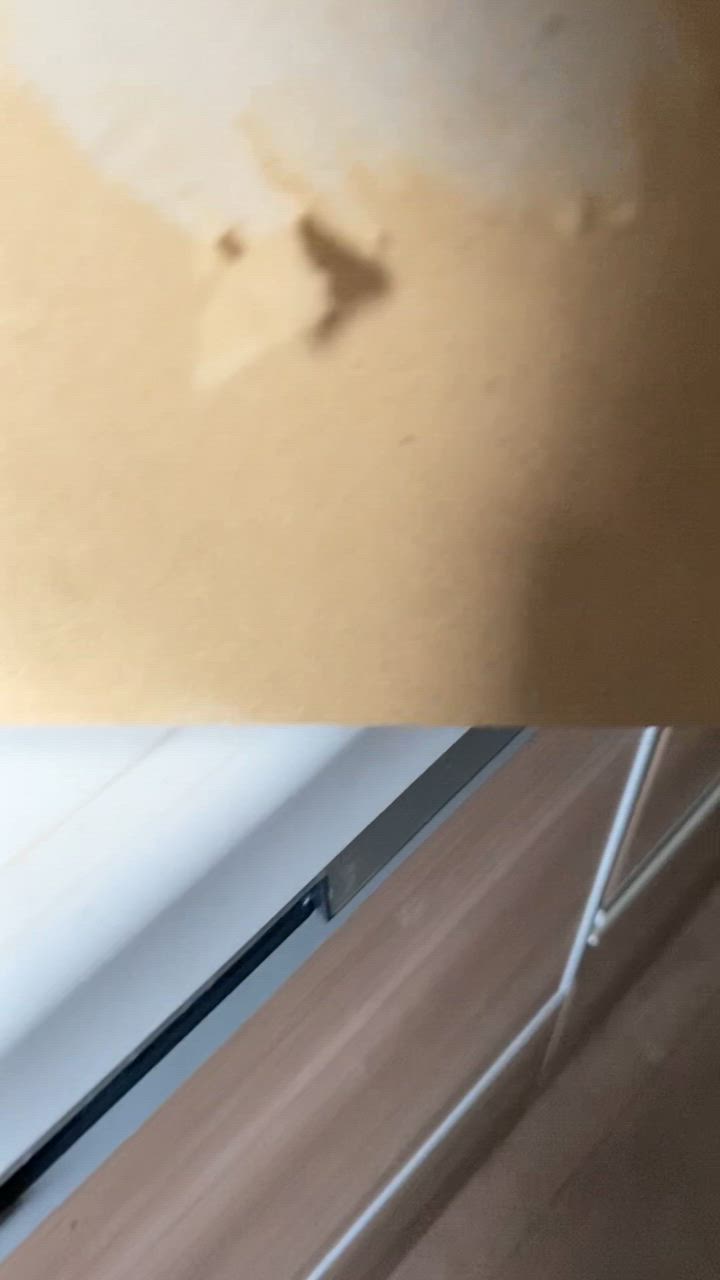 全体のレビュー動画のサムネイル | 1