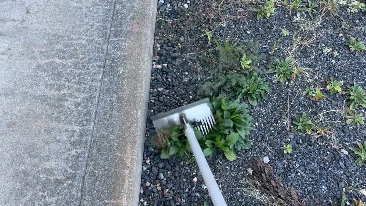 全体のレビュー動画のサムネイル | 0