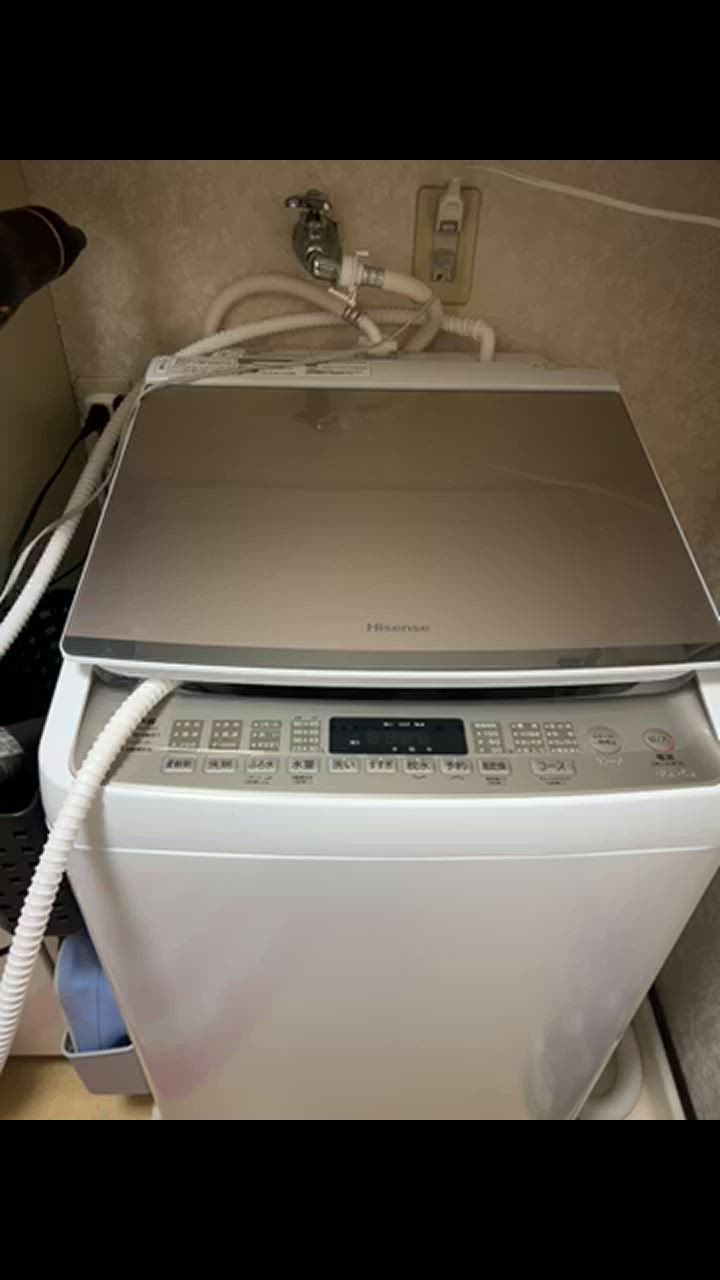 ハイセンス (標準設置無料 設置Aエリアのみ) 10kg 全自動洗濯機