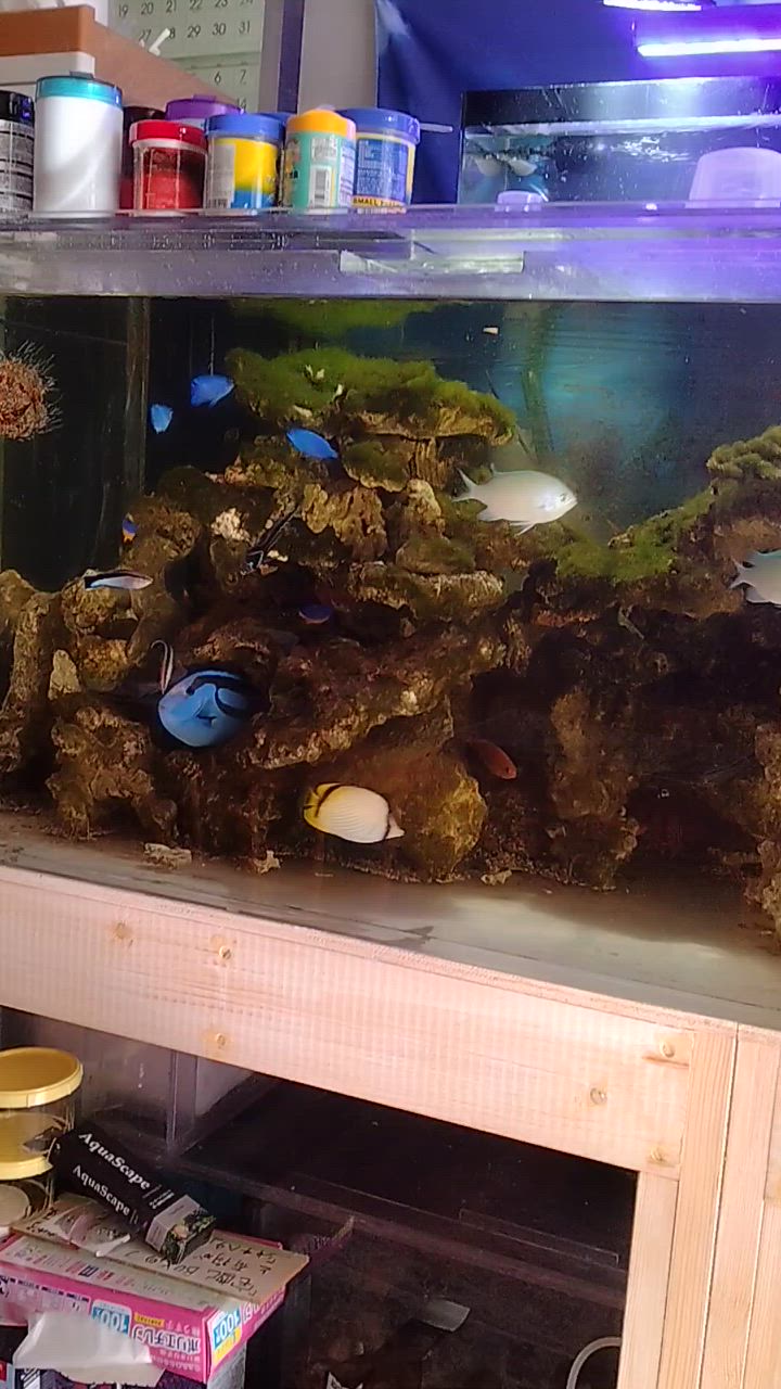 1件目のレビュー動画のサムネイル | 0