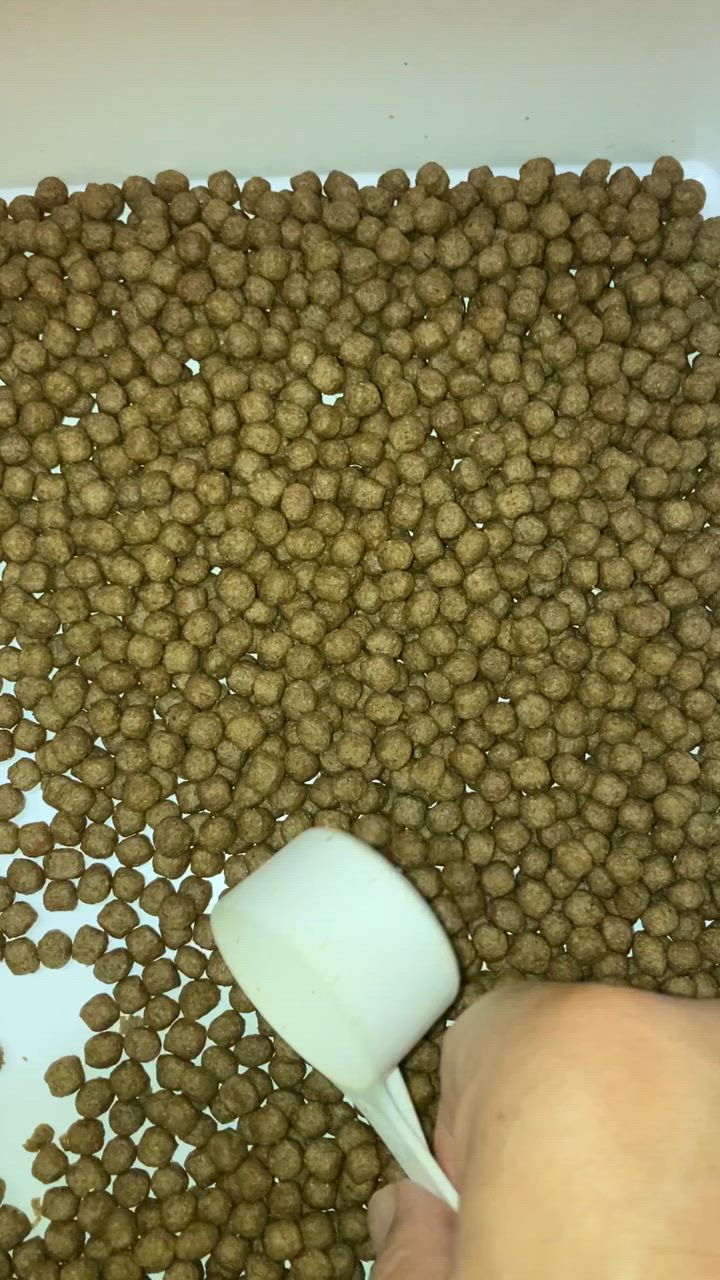 全体のレビュー動画のサムネイル | 0