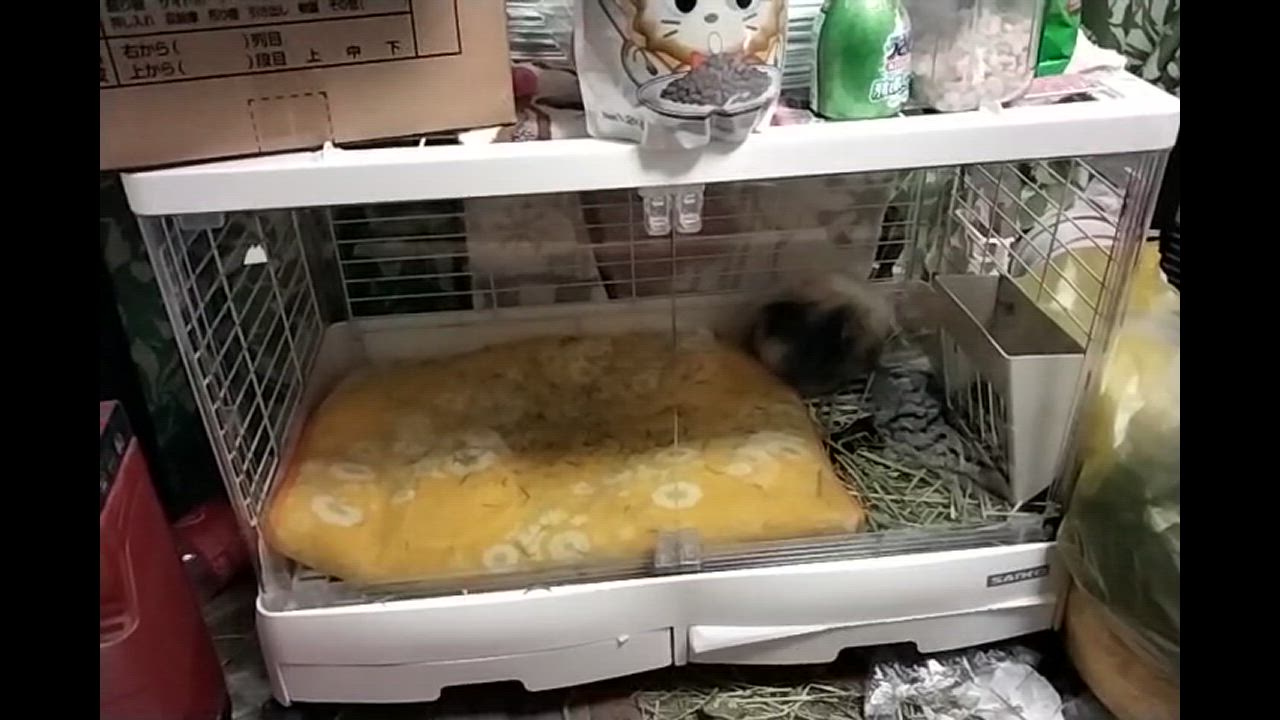 イージーホーム うさぎケージ 三晃商会 イージーホーム