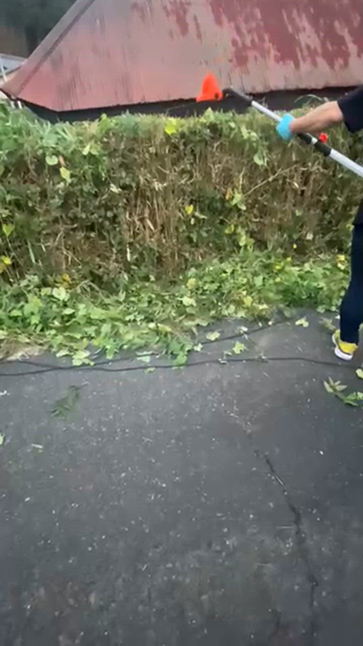 1件目のレビュー動画のサムネイル | 0