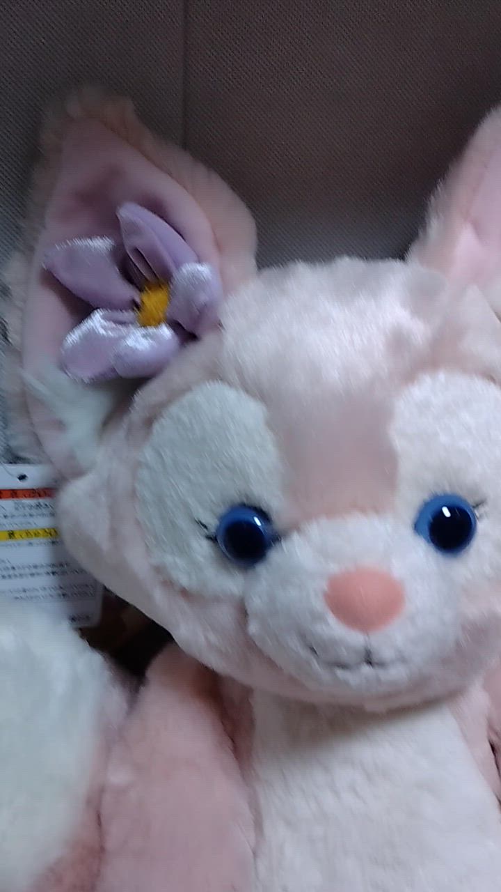 お顔が選べる リーナベル ぬいぐるみ プレミアム Sサイズ リーナ