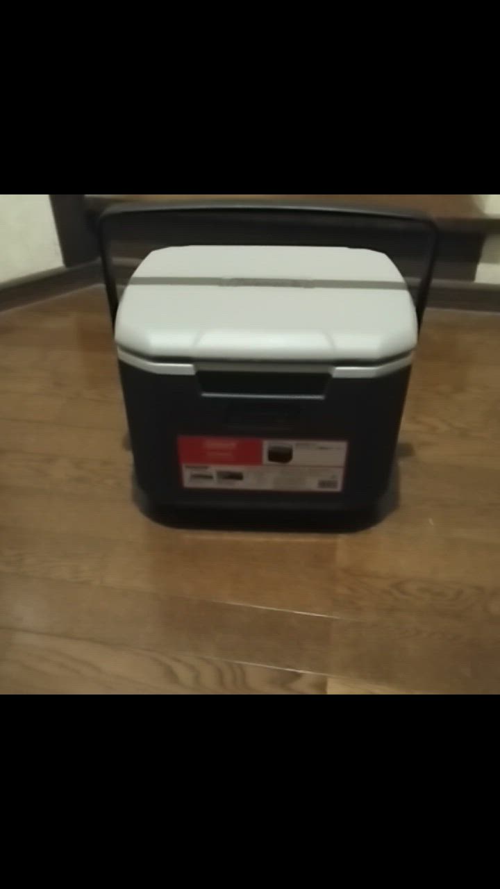 Coleman コールマン COOLER 16QT AP20 LIGHT GRAY JAPAN