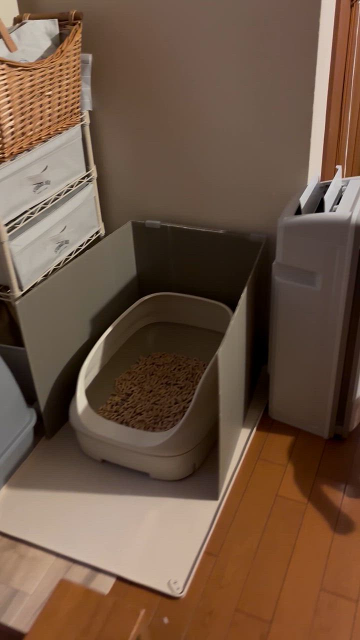 全体のレビュー動画のサムネイル | 0