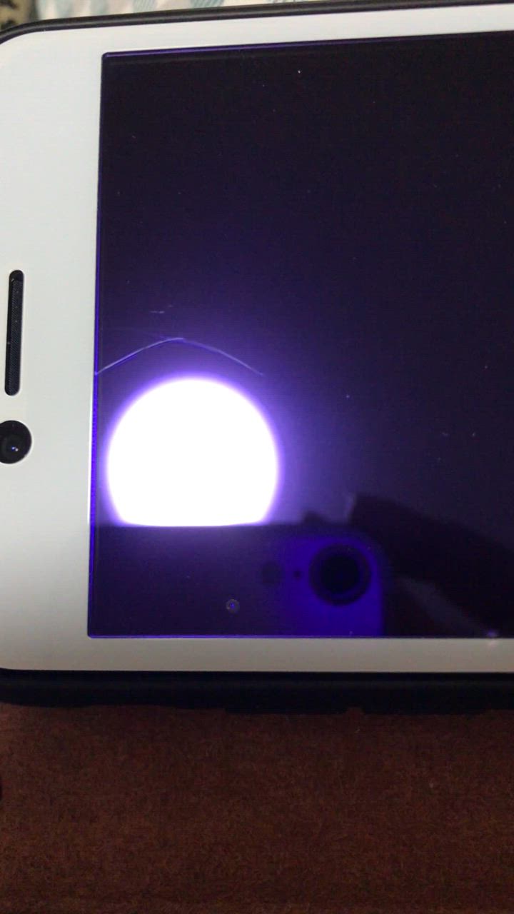 全体のレビュー動画のサムネイル | 1