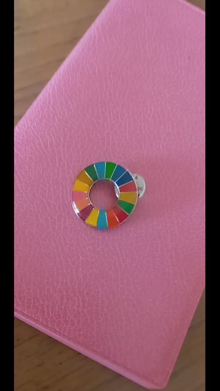 2個 sdgsバッジ 国連最新仕様 sdgs バッジ 正規品 マグネット