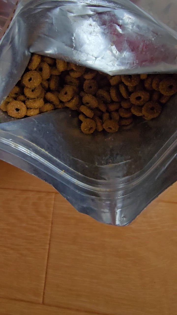 全体のレビュー動画のサムネイル | 0