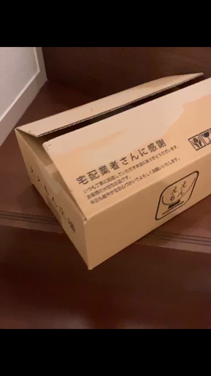 全体のレビュー動画のサムネイル | 4
