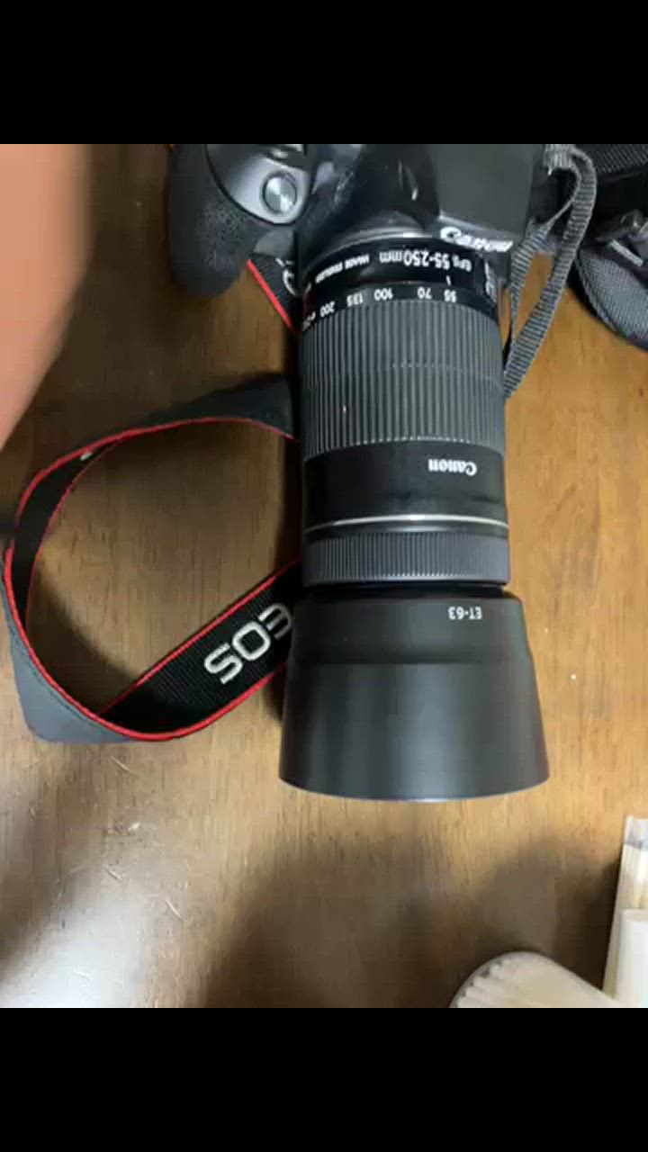 ⭐️極美品⭐️Canon EF-S 55-250mm STM レンズ ET-63付 売上実績NO.1 EF-S Canon 55-250mm Adorama - 8546B002 Lens STM