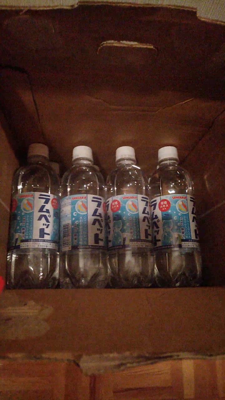 サンガリア ラムペット 500mlペットボトル×24本入｜ 送料別