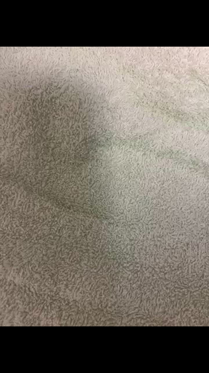 全体のレビュー動画のサムネイル | 8