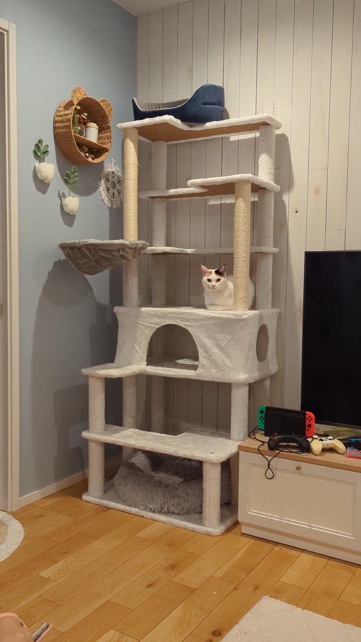 全体のレビュー動画のサムネイル | 1