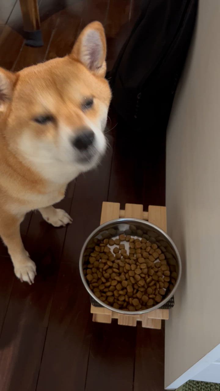 全体のレビュー動画のサムネイル | 0