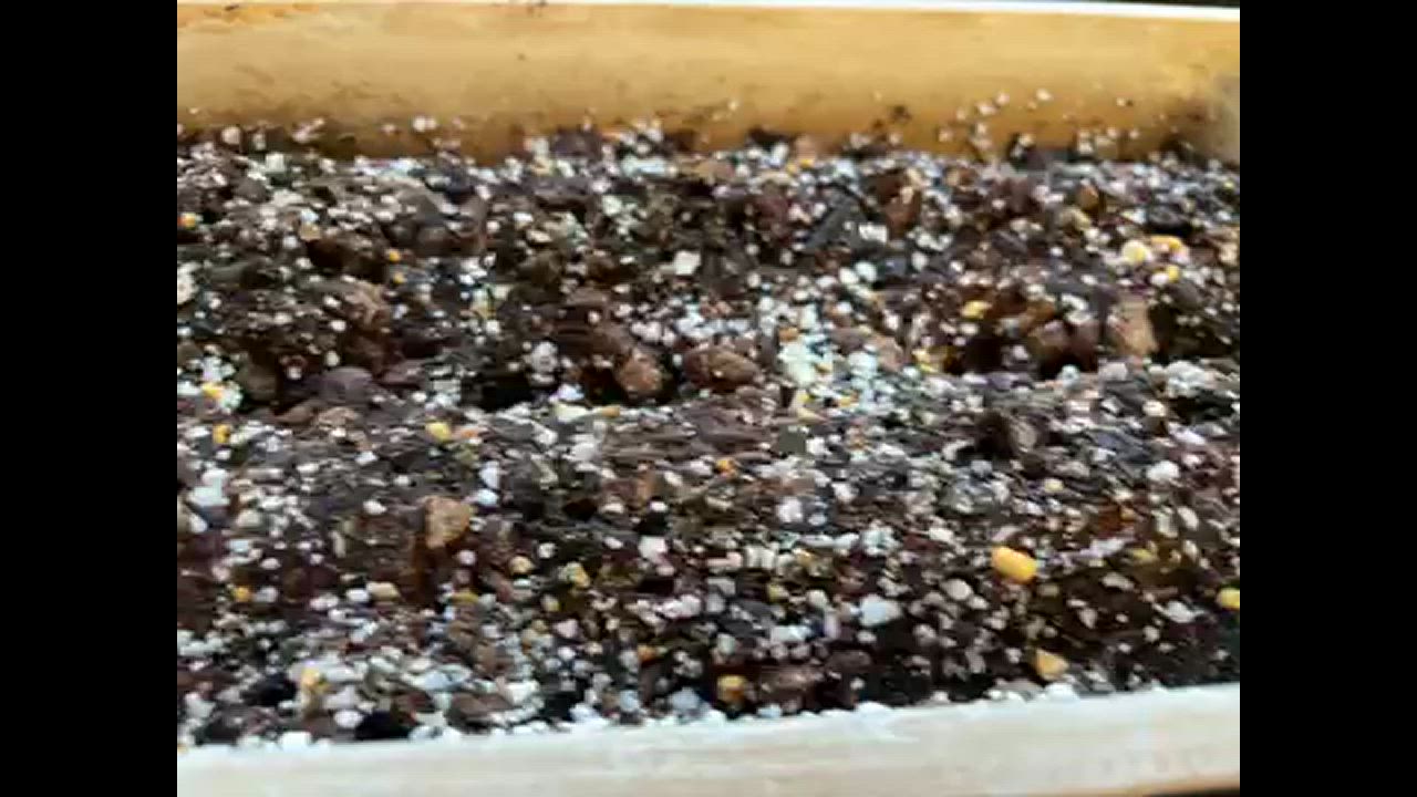 全体のレビュー動画のサムネイル | 3