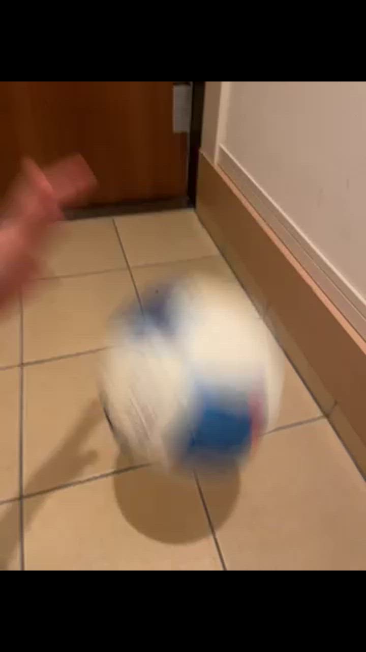 1件目のレビュー動画のサムネイル | 0