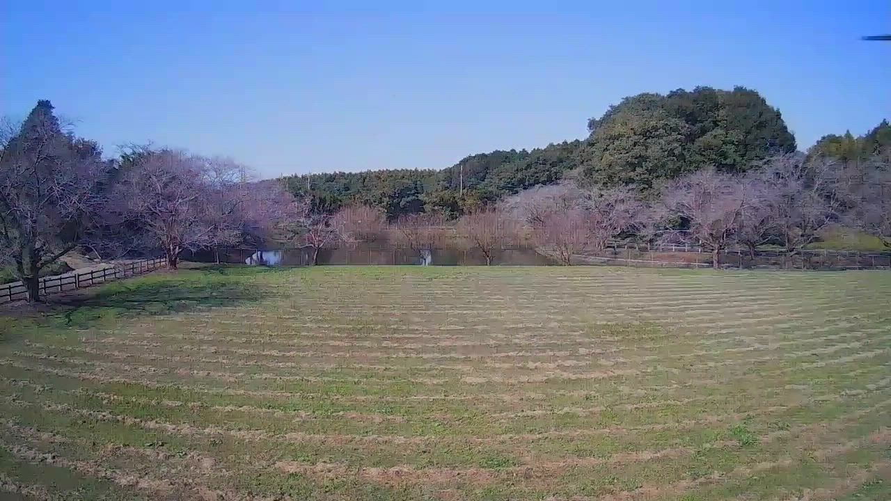 全体のレビュー動画のサムネイル | 2