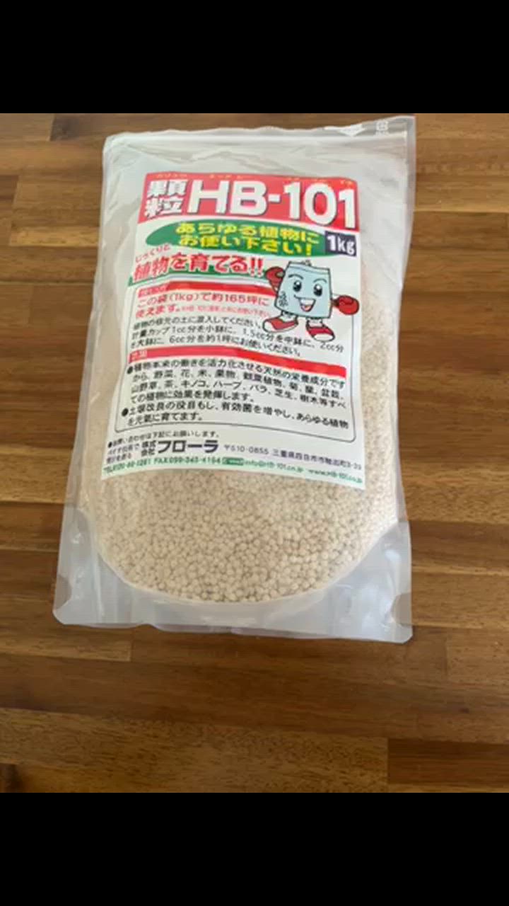フローラ 顆粒 HB-101 1Kg 植物活力剤 フローラ Flora : 緑の