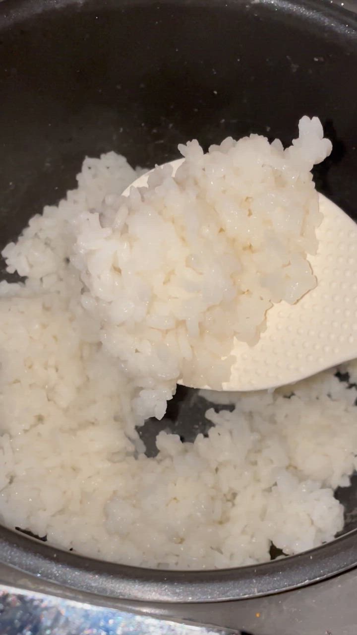 コシヒカリ 業務用お米 白米20kg（5kg×4袋） 新潟県産 未検査米