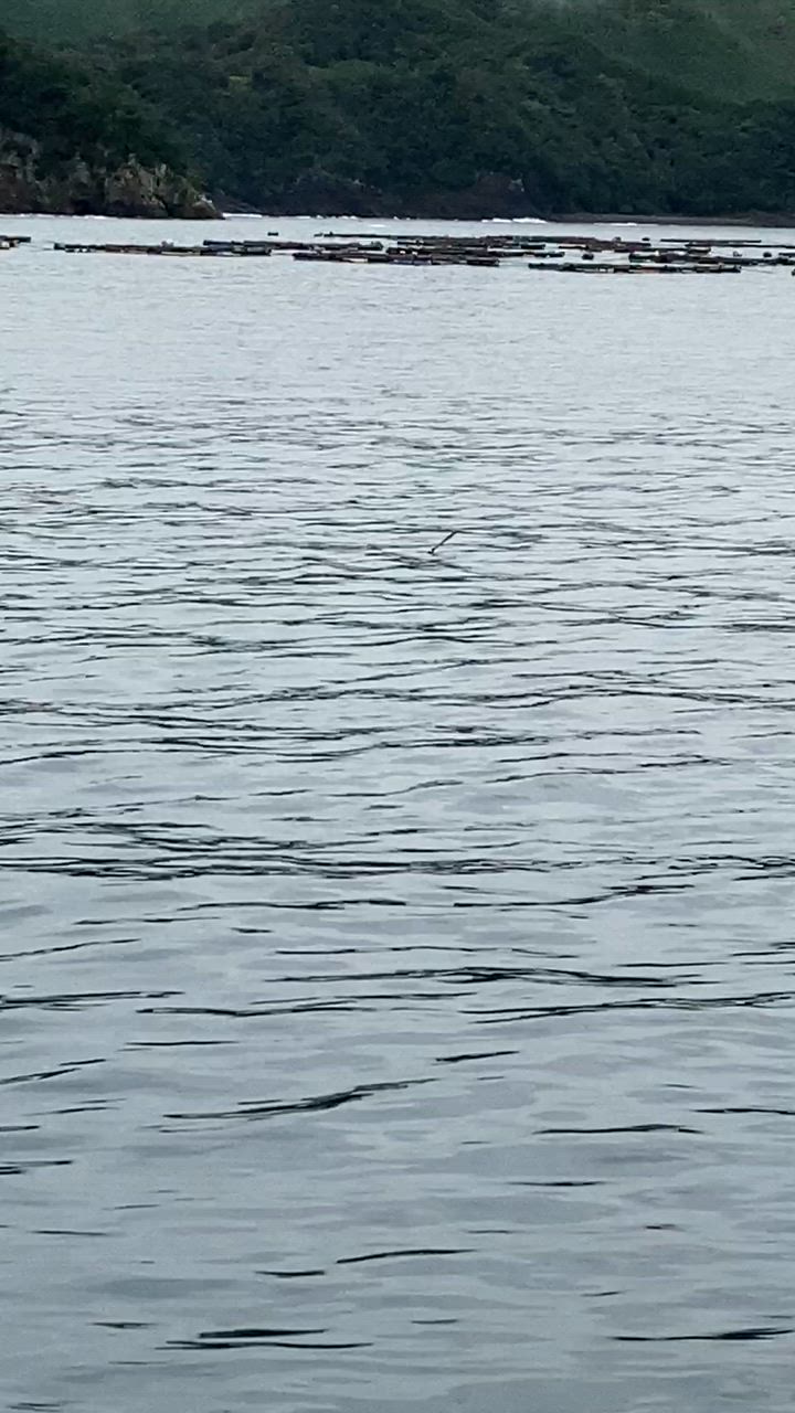 1件目のレビュー動画のサムネイル | 0