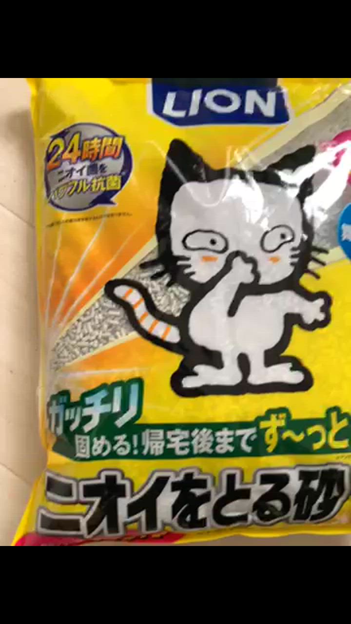 全体のレビュー動画のサムネイル | 14