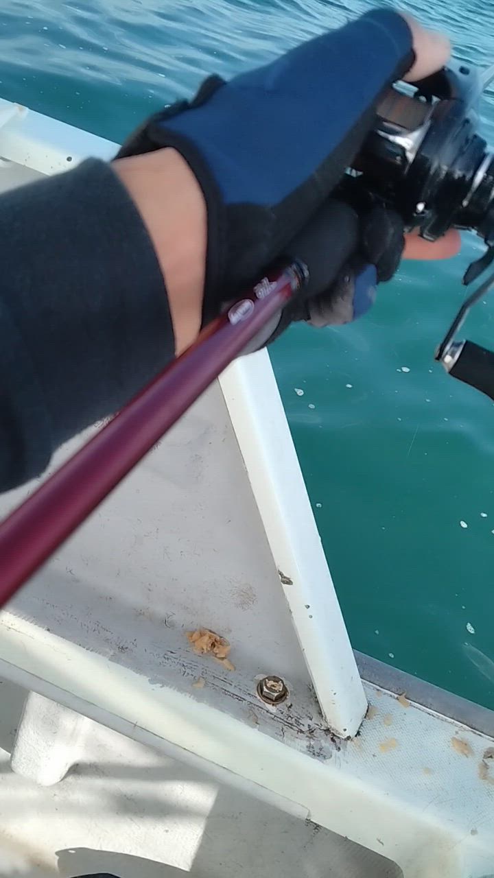 DAIWA（釣り） ダイワ カワハギ竿 アナリスターカワハギ H-172