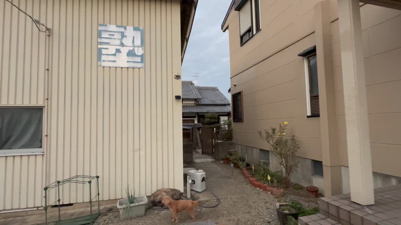全体のレビュー動画のサムネイル | 3
