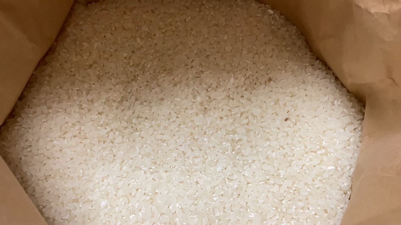 ひとめぼれ 鳥取県令和6年産 ひとめぼれ 玄米10kg 条件付き送料