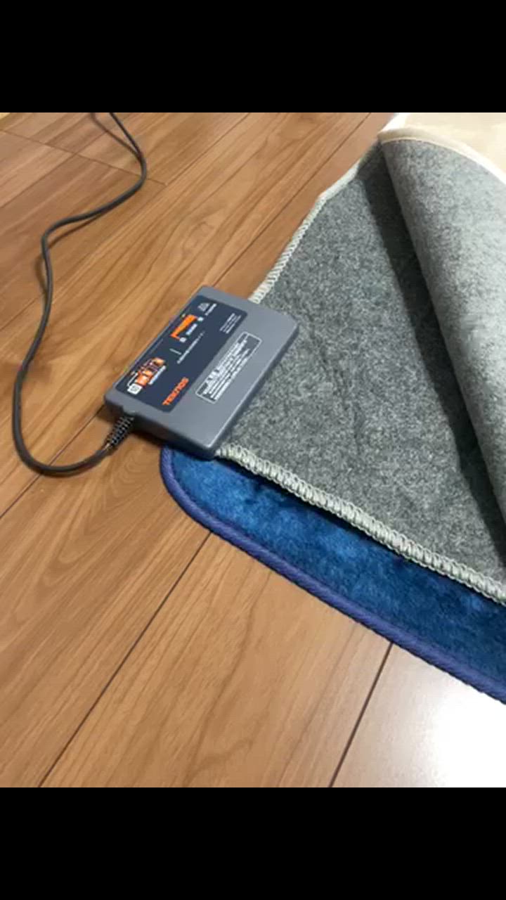 ホットカーペット 3畳 ラグ セット TEKNOS 200×240cm 節電