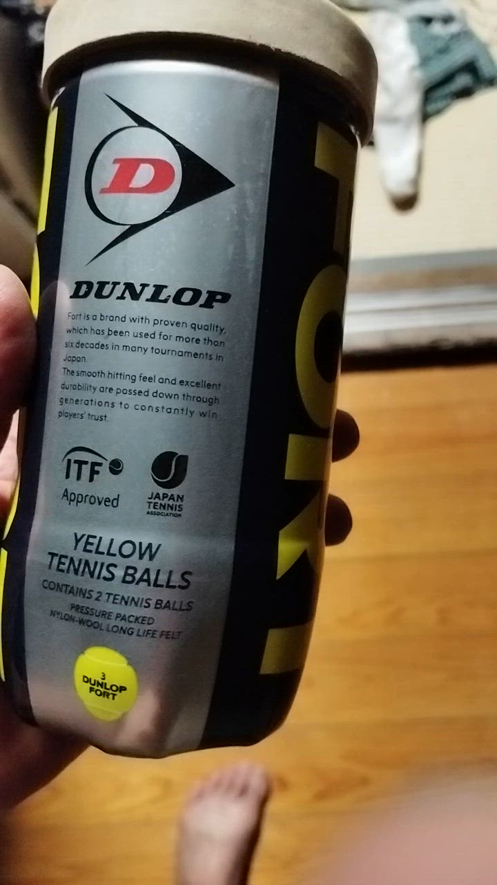 DUNLOP 「2球入×15缶セット 箱なし 」DUNLOP ダンロップ 「FORT