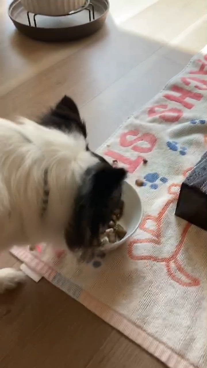 全体のレビュー動画のサムネイル | 0