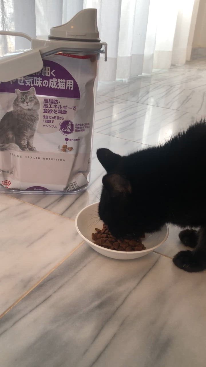 全体のレビュー動画のサムネイル | 0