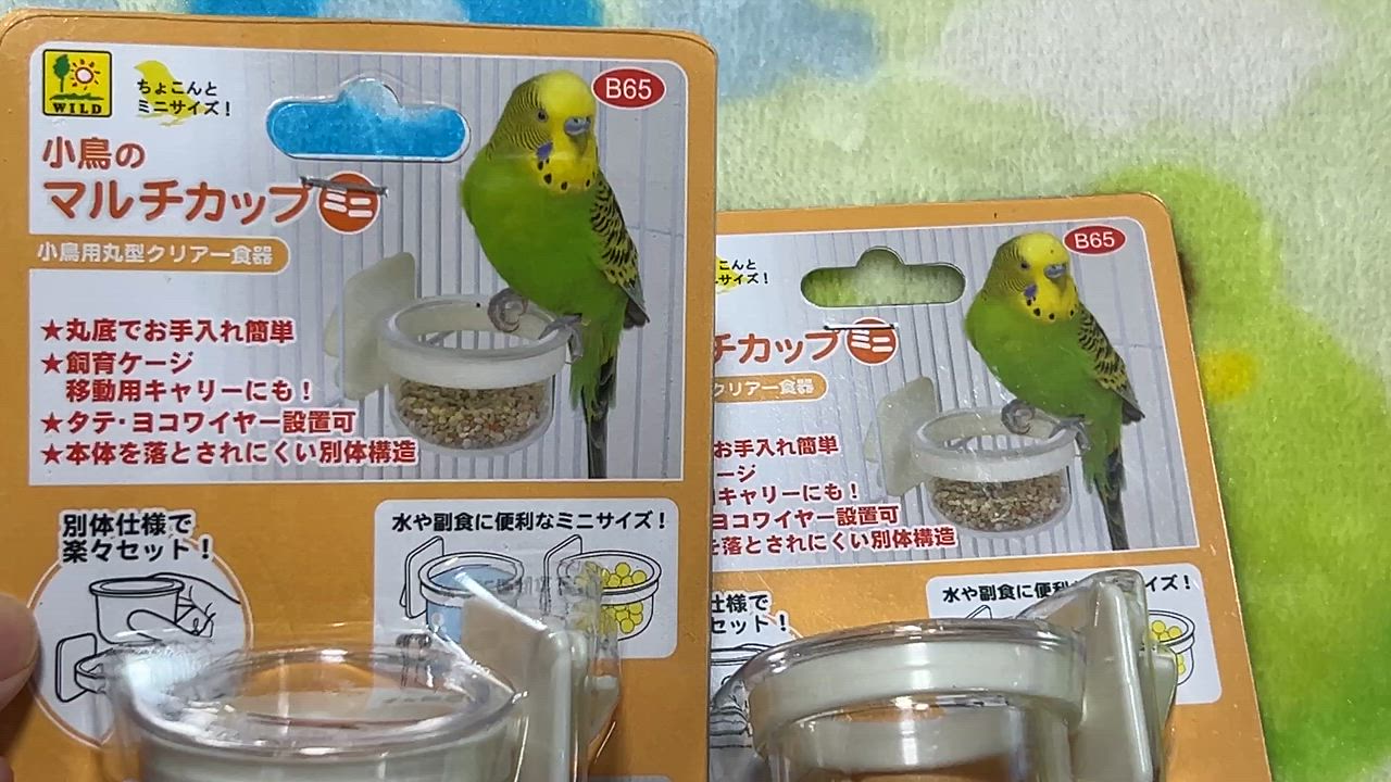 全体のレビュー動画のサムネイル | 1