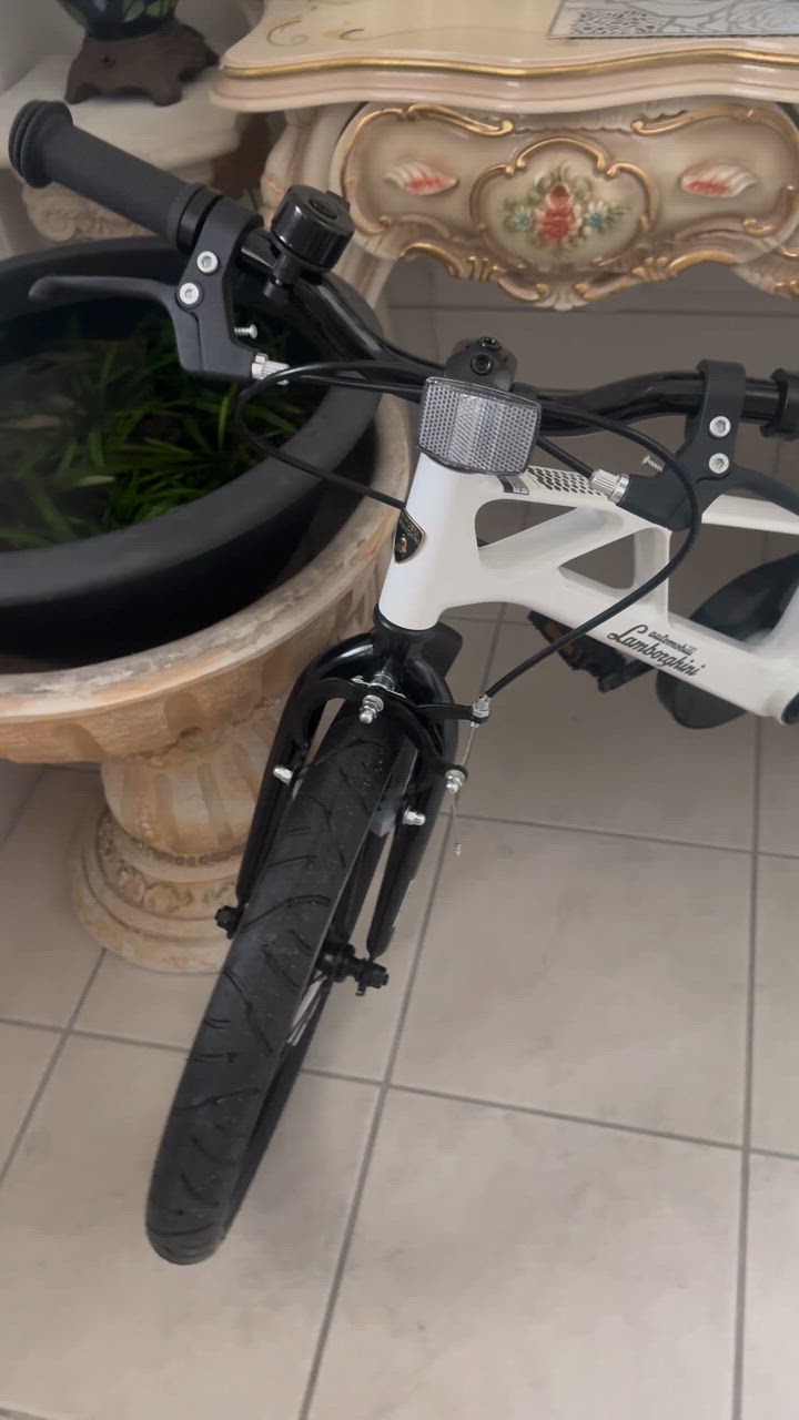 Lamborghini (ランボルギーニ) 18インチ 自転車 子供用 補助輪 Lamborghini (ランボルギーニ) 18インチ 自転車 子供用 補助輪