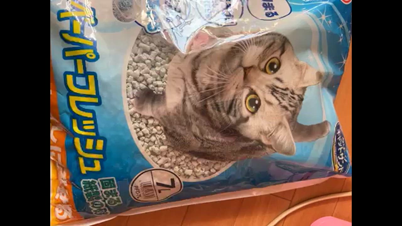 全体のレビュー動画のサムネイル | 6