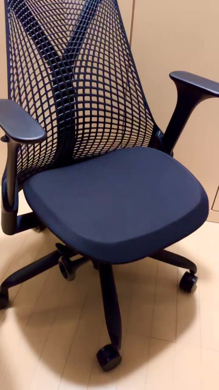 Herman Miller セイルチェア ブラックベース シート/ブラック