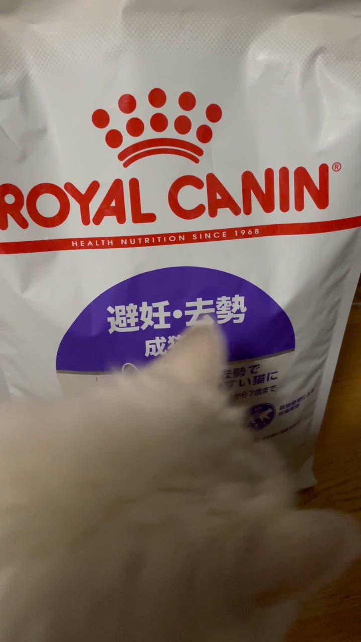  CANIN 避妊・去勢成猫用ステアライズド 4kg 41ZQRAIspGL.jpg_BO30,255,255,