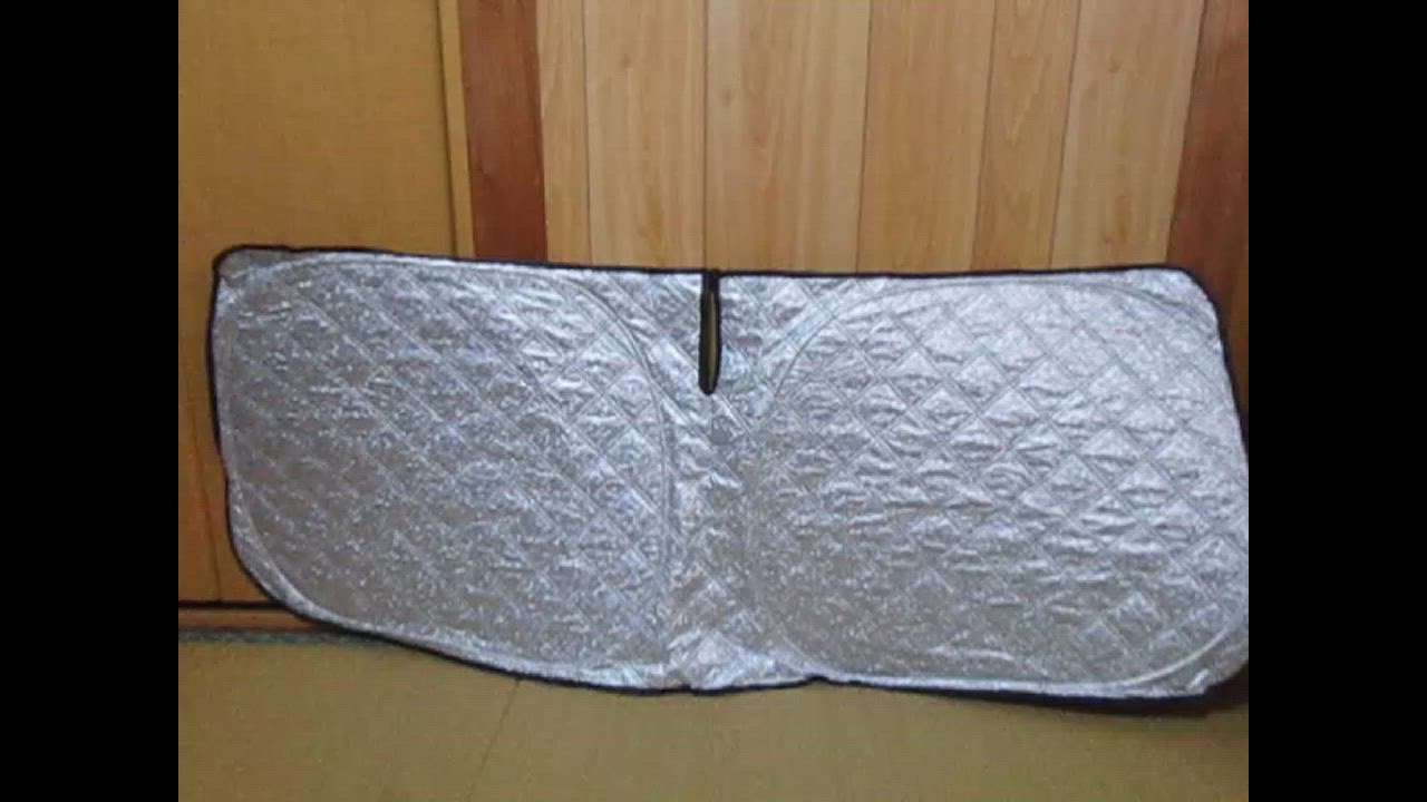 全体のレビュー動画のサムネイル | 0
