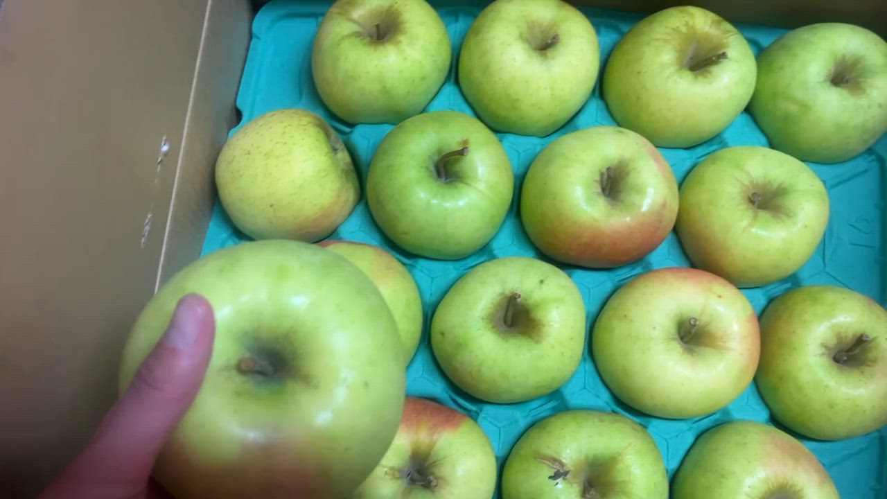 全体のレビュー動画のサムネイル | 8