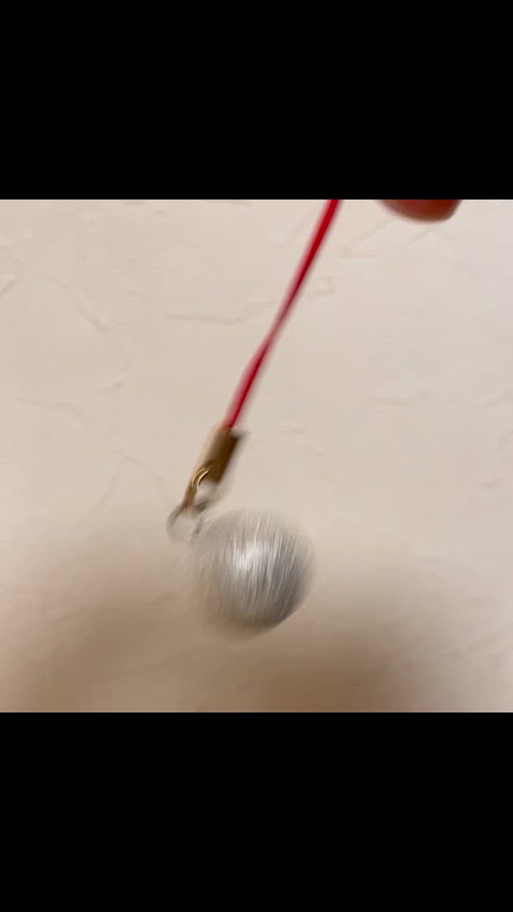 全体のレビュー動画のサムネイル | 0