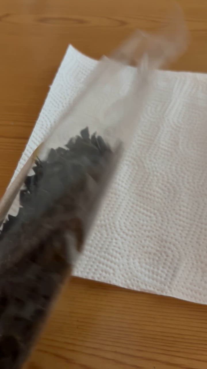 全体のレビュー動画のサムネイル | 11