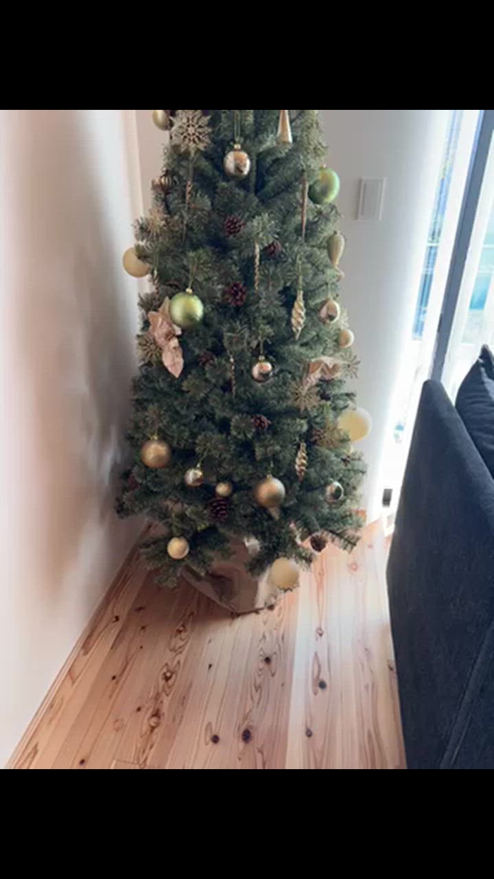 Alsace Alsace(R)公式 正規品 クリスマスツリー 180cm アルザス Alsace Alsace(R)公式 正規品 クリスマスツリー 180cm アルザス