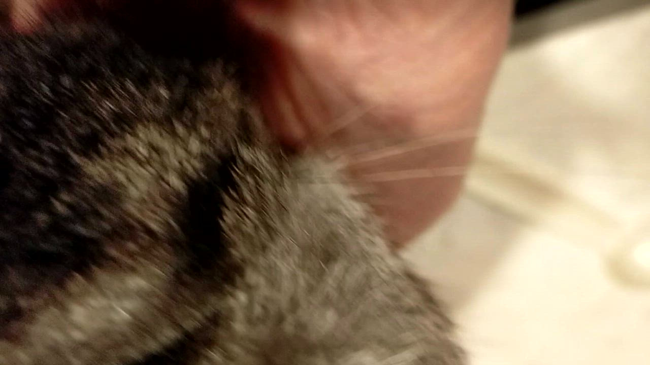 全体のレビュー動画のサムネイル | 3