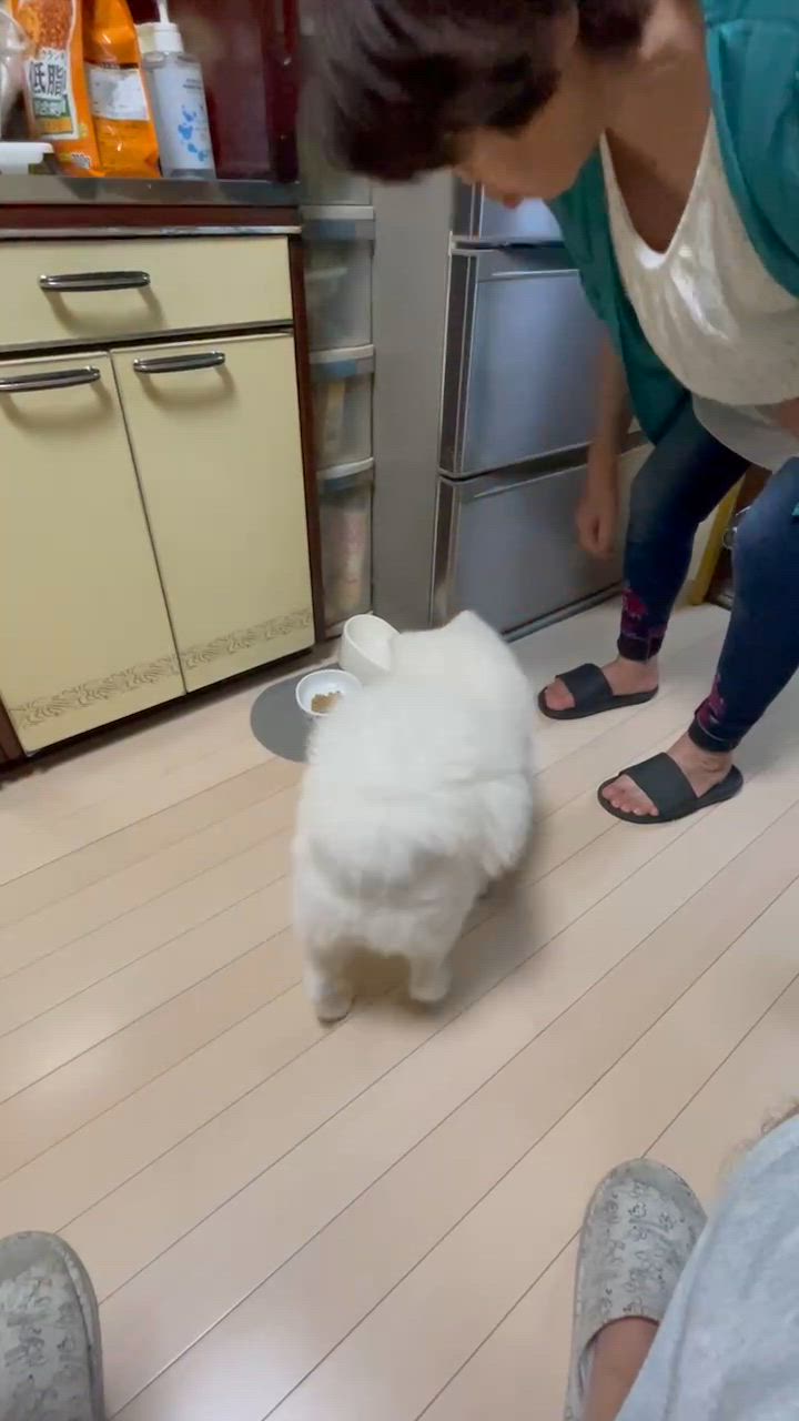 全体のレビュー動画のサムネイル | 1