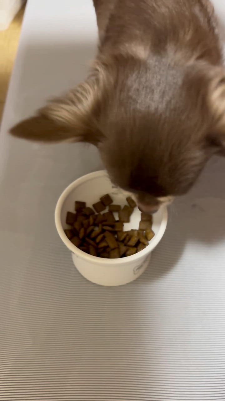 全体のレビュー動画のサムネイル | 2