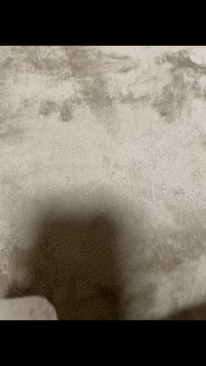 全体のレビュー動画のサムネイル | 18