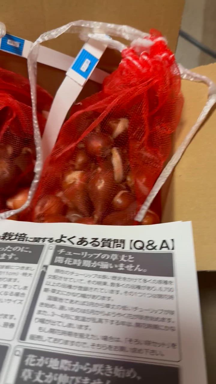 全体のレビュー動画のサムネイル | 3
