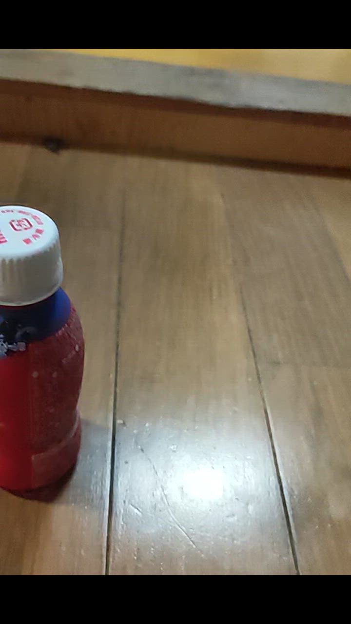 2件目のレビュー動画のサムネイル | 0