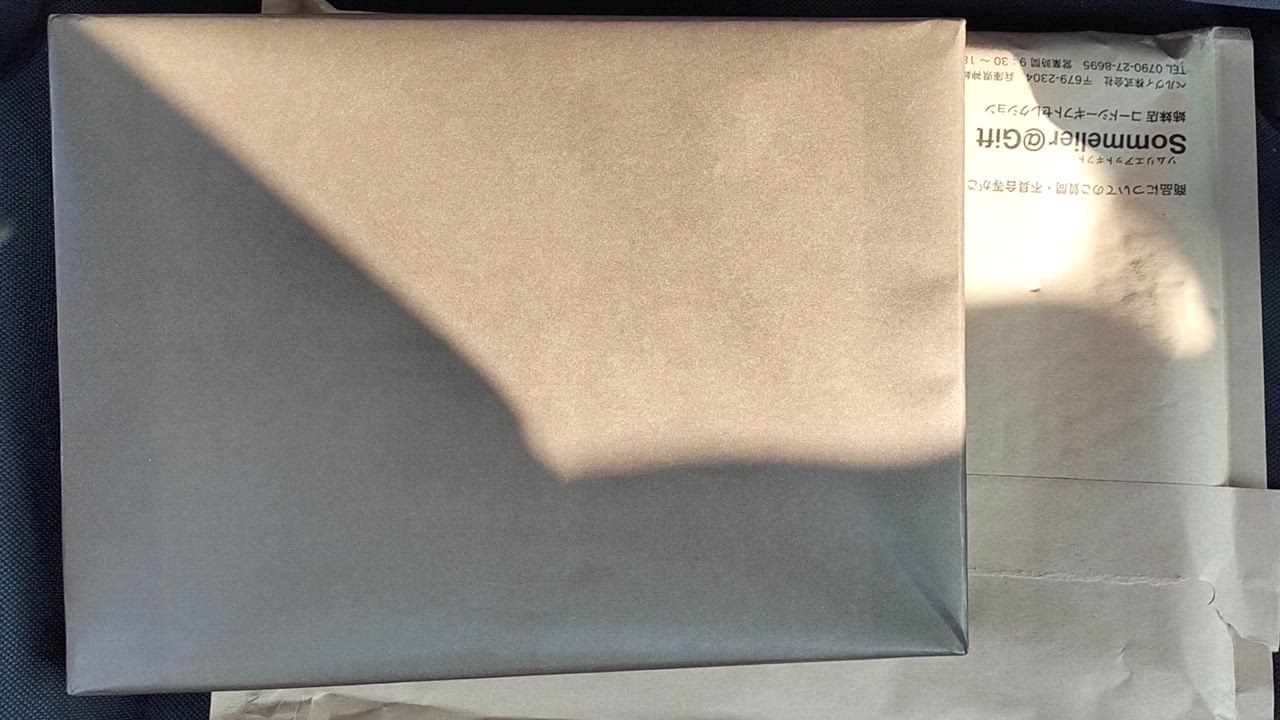 全体のレビュー動画のサムネイル | 1